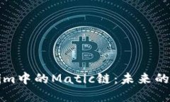 深入解析Tokenim中的Matic链