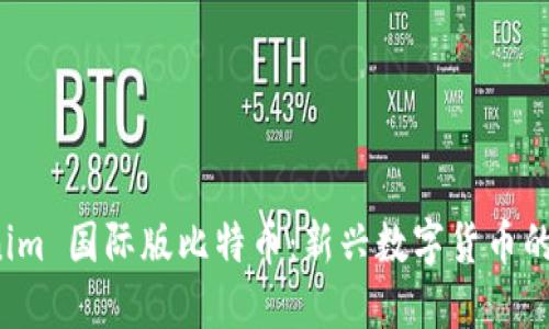 理解 tokenim 国际版比特币：新兴数字货币的未来与风险