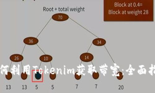 如何利用Tokenim获取带宽：全面指南