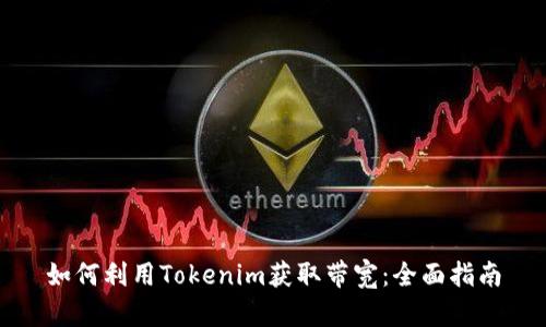 如何利用Tokenim获取带宽：全面指南