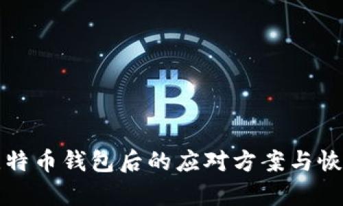 误删比特币钱包后的应对方案与恢复攻略