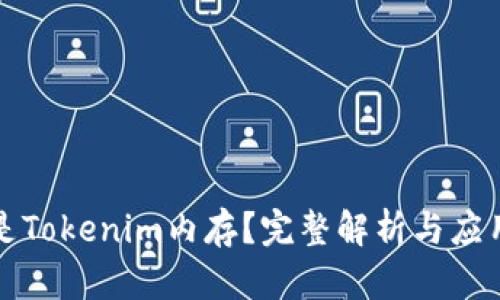 什么是Tokenim内存？完整解析与应用指南