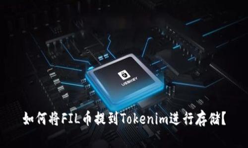 如何将FIL币提到Tokenim进行存储？