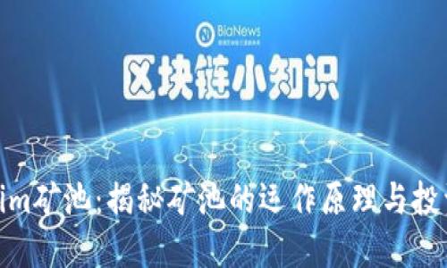 Tokenim矿池：揭秘矿池的运作原理与投资机会