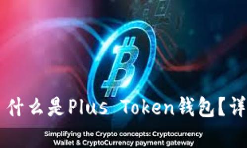 ### 什么是Plus Token钱包？详尽解析