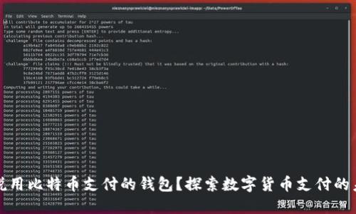 谁说用比特币支付的钱包？探索数字货币支付的未来