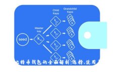 中国比特币钱包的全面解析：选择、使用与安全