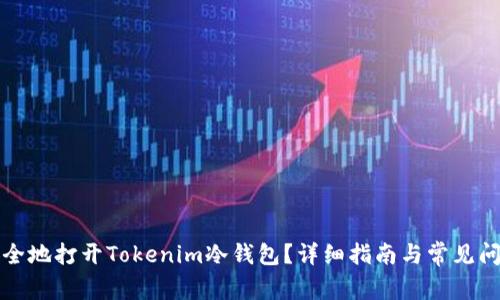 如何安全地打开Tokenim冷钱包？详细指南与常见问题解答