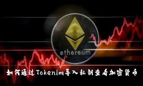 如何通过Tokenim导入私钥查看加密货币