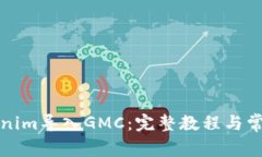 如何将Tokenim导入GMC：完整