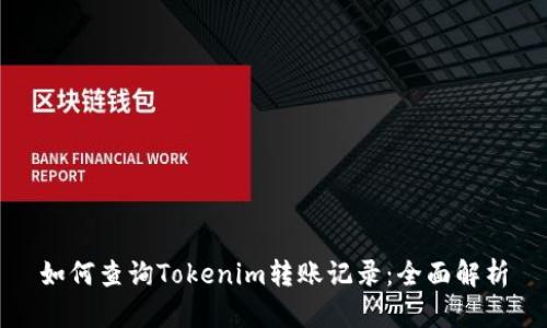 如何查询Tokenim转账记录：全面解析