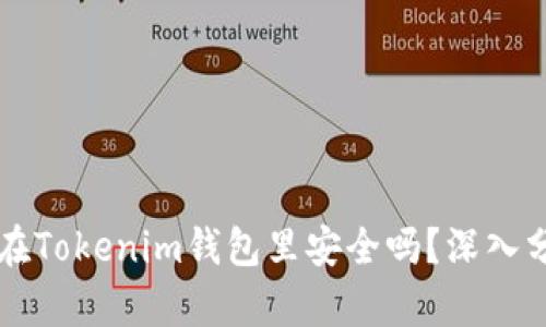 币长期放在Tokenim钱包里安全吗？深入分析与建议