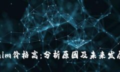 Tokenim价格高：分析原因及