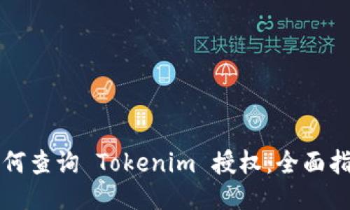 如何查询 Tokenim 授权：全面指南