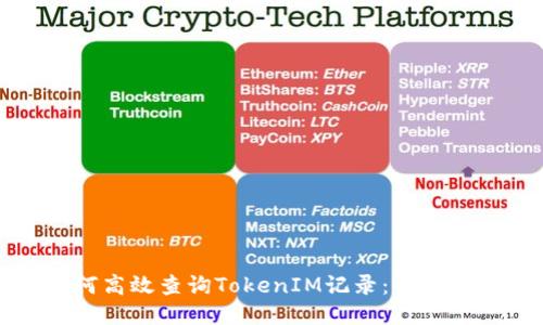 如何高效查询TokenIM记录：全面指南