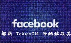 全面解析 TokenIM 子地址及