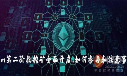 Tokenim第二阶段挖矿全面开启，如何参与和注意事项详解