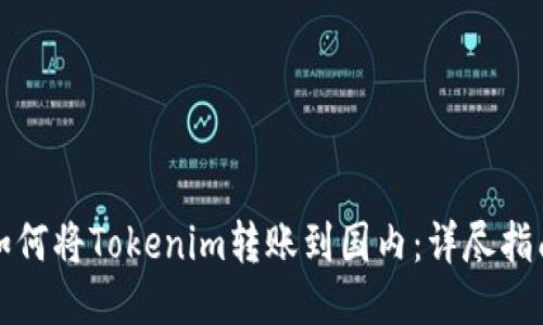 如何将Tokenim转账到国内：详尽指南