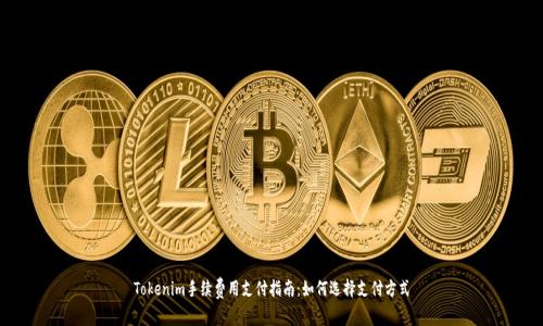 Tokenim手续费用支付指南：如何选择支付方式