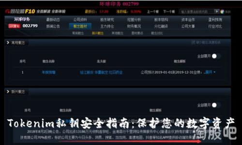 Tokenim私钥安全指南：保护您的数字资产