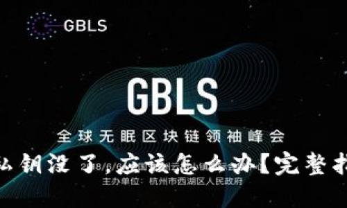 如果tokenim私钥没了，应该怎么办？完整指南与解决方案