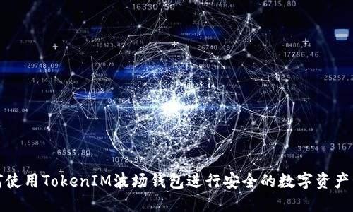 如何使用TokenIM波场钱包进行安全的数字资产管理