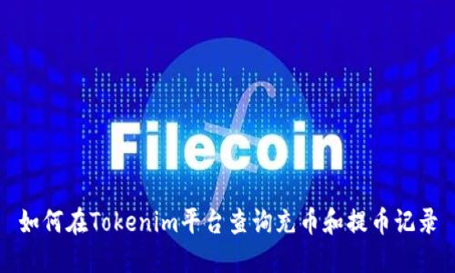 如何在Tokenim平台查询充币和提币记录