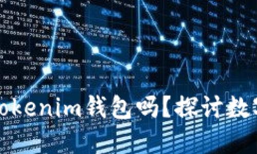 一个人可以创建多个Tokenim钱包吗？探讨数字钱包的管理和安全性