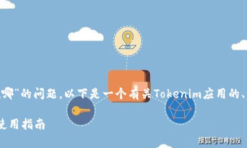 关于“tokenim安卓版在哪”的问题，以下是一个有关Tokenim应用的、关键词及内容提纲示例：

Tokenim安卓版下载与使用指南