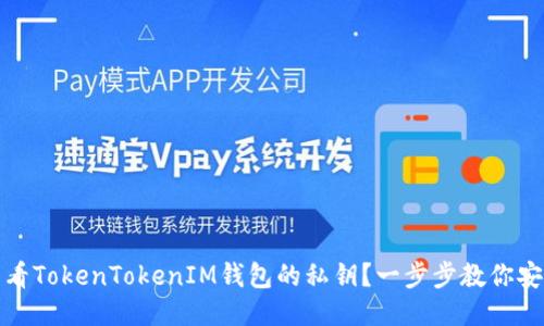 如何查看TokenTokenIM钱包的私钥？一步步教你安全获取