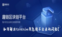 如何解决tokenim钱包转不出