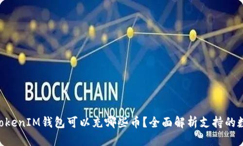 TokenTokenIM钱包可以充哪些币？全面解析支持的数字资产