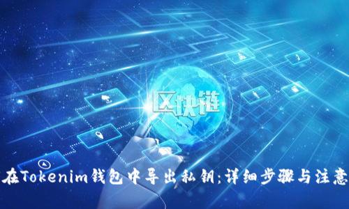 如何在Tokenim钱包中导出私钥：详细步骤与注意事项