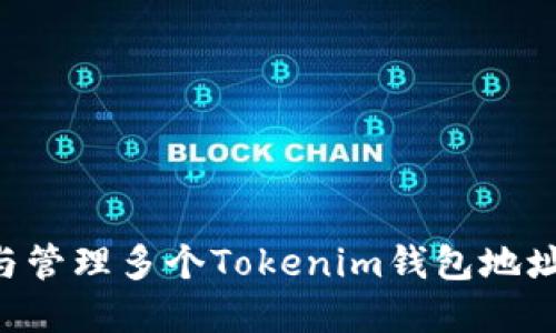 如何创建与管理多个Tokenim钱包地址：全面指南