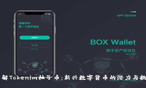 了解Tokenim柚子币：新兴数字货币的潜力与挑战