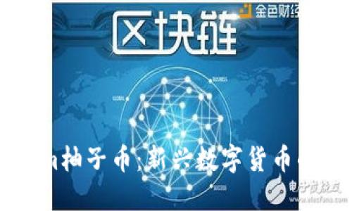 了解Tokenim柚子币：新兴数字货币的潜力与挑战