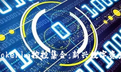 深入了解Tokenim控投集合：新兴数字资产投资机会