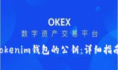 如何找回TokenTokenim钱包的公钥：详细指南与常见