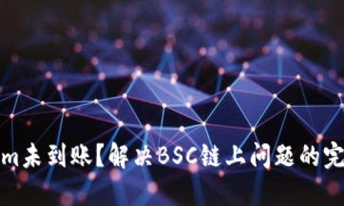 Tokenim未到账？解决BSC链上问题的完全指南