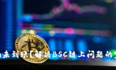 Tokenim未到账？解决BSC链上