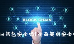 TokenTokenim钱包安全吗？全面解析安全性及隐私保