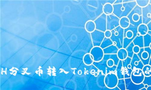 如何将BCH分叉币转入Tokenim钱包的详细指南