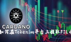 如何在Tokenim平台上提取FIL币