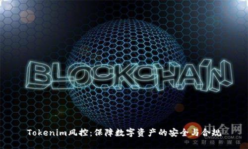 Tokenim风控：保障数字资产的安全与合规