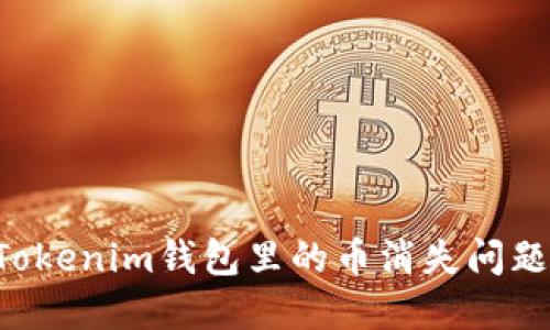 如何解决Tokenim钱包里的币消失问题：全面指南