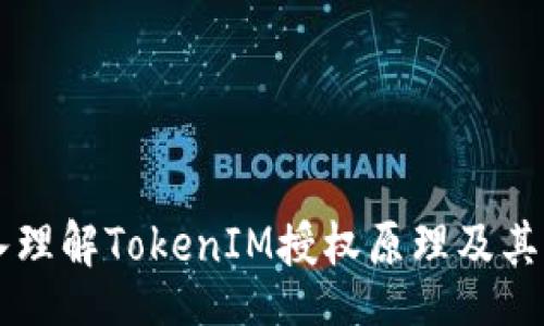 br
深入理解TokenIM授权原理及其应用