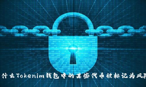 为什么Tokenim钱包中的某些代币被标记为风险？