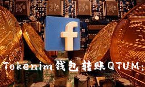 如何使用Tokenim钱包转账QTUM：详细指南