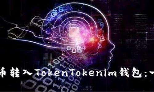 如何将数字货币转入TokenTokenim钱包：一步步详细指南