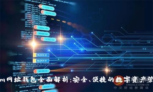 Tokenim网址钱包全面解析：安全、便捷的数字资产管理工具